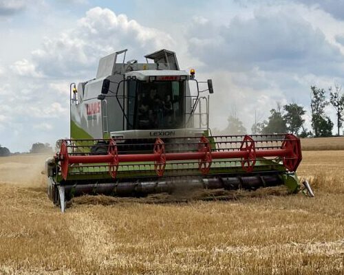 Claas Lexion 450 Mähdrescher Claas Lexion 450 Getreideernte Landkreis Görlitz und Bautzen DSW Weicha